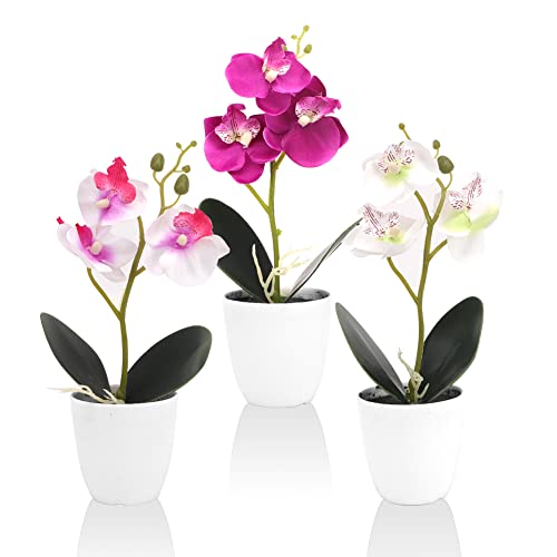 RANJIMA 3 Orquídeas Artificiales, orquídeas Artificiales en Maceta, Flores Artificiales para decoración del hogar como Reales para decoración de Mesa en casa, Boda, decoración de apartamento